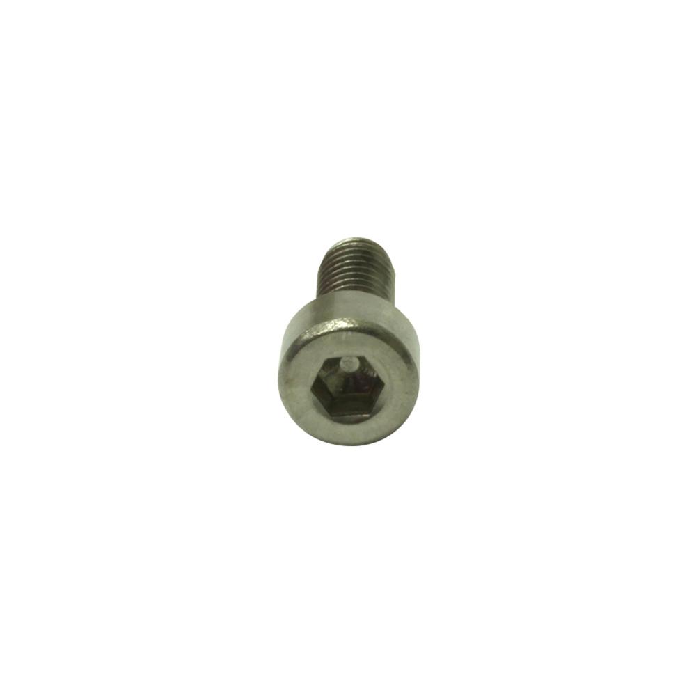 M4 x 10 Socket Head Screw Stainless Steel (SST) M4 x 10 Socket Head Screw Stainless Steel (SST)