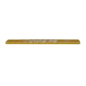 Vivid E9 Name Plate Gold Upper Operator Panel Vivid E9 Name Plate Gold Upper Operator Panel